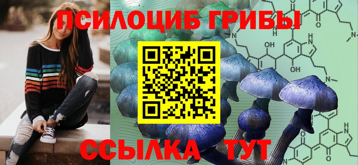 Галлюциногенные грибы ЛСД Вольск